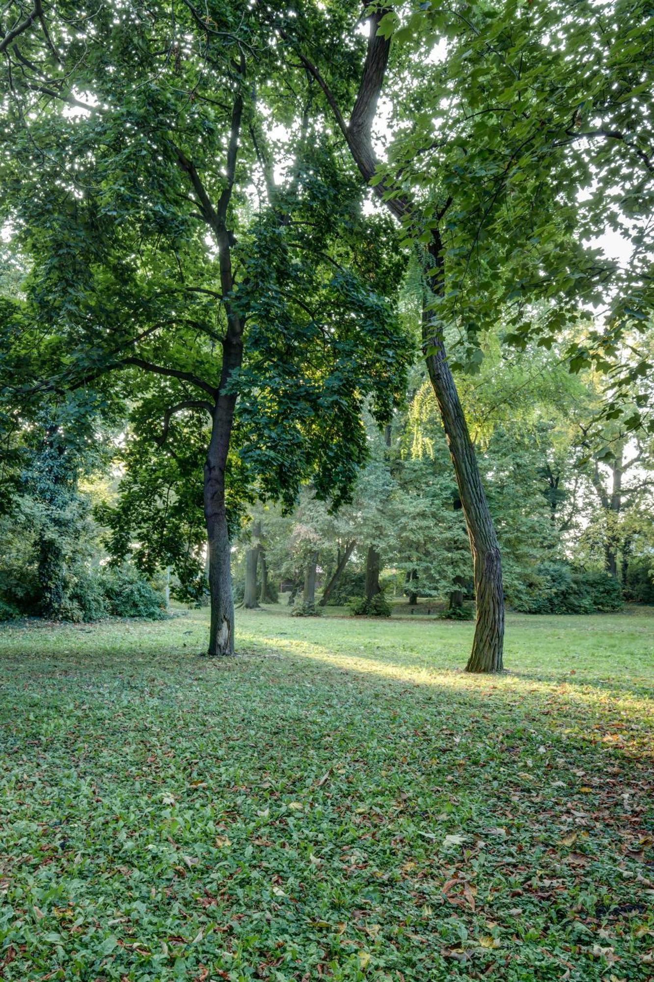 Vila Austerlitz Extérieur photo
